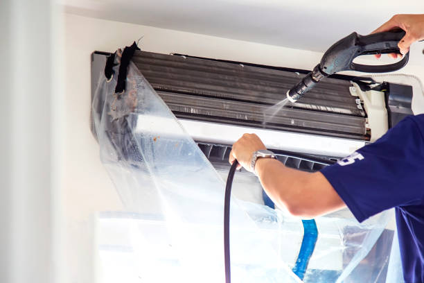 Best Air Duct Sanitizing Services  in Woodstock, VA