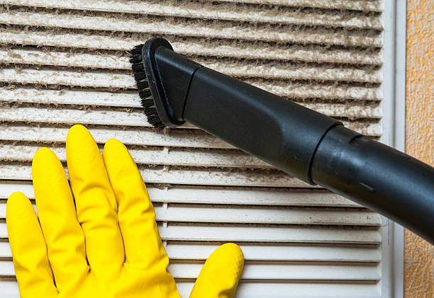 Best Dryer Vent Cleaning Services  in Woodstock, VA